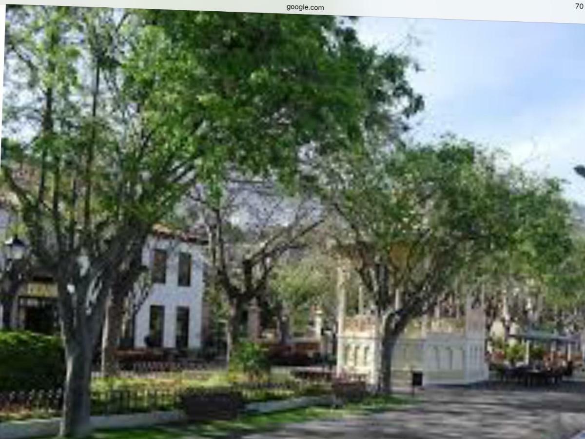 Apartamento Tahoro La Orotava Exterior foto